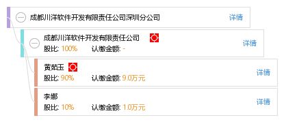 成都川洋軟件開發有限責任公司深圳分公司 深圳軟件開發領域的匠心筑夢者
